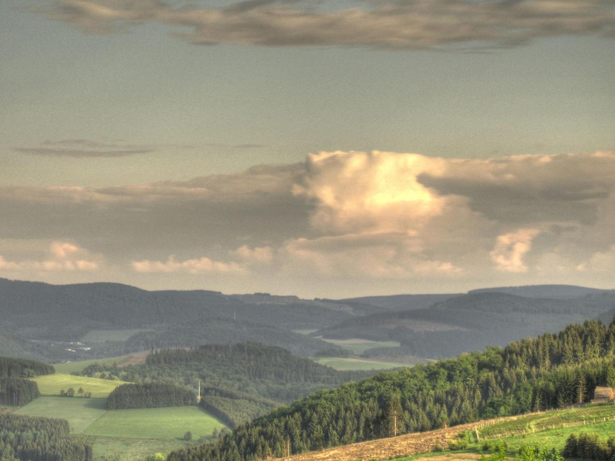 Cozy Holiday Home With Wifi In Hochsauerland Elpe Экстерьер фото